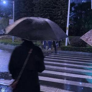 大雷网站免费
